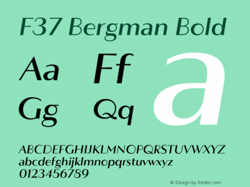 F37 Bergman Bold Version 3.000;Glyphs 3.2 (3202)图片样张