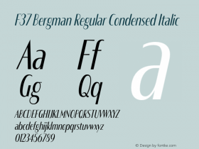 F37 Bergman Reg Cond Ita Version 3.000;Glyphs 3.2 (3202)图片样张