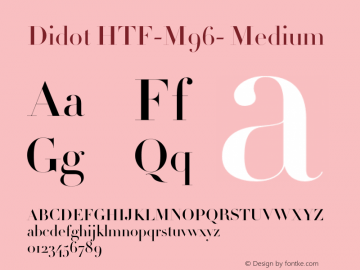 Didot HTF-M96- Medium 001.000 Font Sample