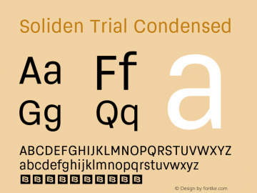 SolidenTrial-Condensed Version 1.000图片样张