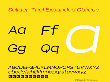 SolidenTrial-ExpandedOblique Version 1.000图片样张