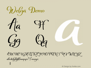 Welga Demo Version 1.00;January 15, 2018;FontCreator 11.0.0.2408 32-bit图片样张