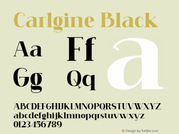 Carlgine Black Version 1.000图片样张