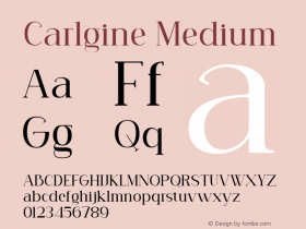 Carlgine Medium Version 1.000图片样张