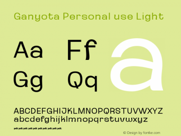 Ganyota Personal use Light Version 1.000图片样张