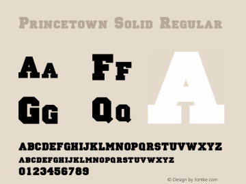 Princetown Solid Regular Unknown图片样张