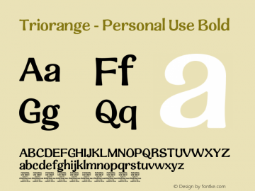 Triorange - Personal Use Bold Version 1.000;Glyphs 3.2 (3179)图片样张