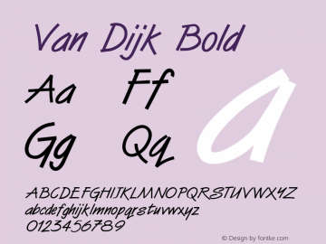Van Dijk Bold Unknown图片样张