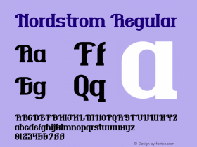 Nordstrom Version 1.001;Fontself Maker 3.5.7图片样张