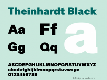 Theinhardt Black Version 4.003; build 0008图片样张