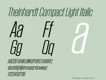 Theinhardt Compact Light Italic Version 1.002; build 0002图片样张