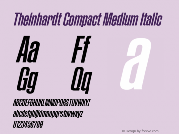 Theinhardt Compact Medium Italic Version 1.002; build 0002图片样张