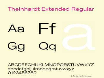 Theinhardt Extended Regular Version 1.002; build 0002图片样张