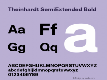 Theinhardt SemiExtended Bold Version 1.002; build 0003图片样张