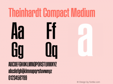 TheinhardtCompact-Medium Version 1.002; build 0002图片样张