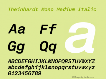 TheinhardtMono-MediumItalic Version 1.002; build 0002图片样张