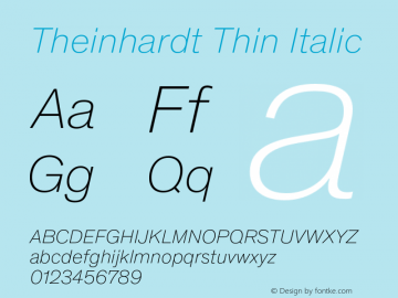 Theinhardt-ThinItalic Version 4.003; build 0007图片样张