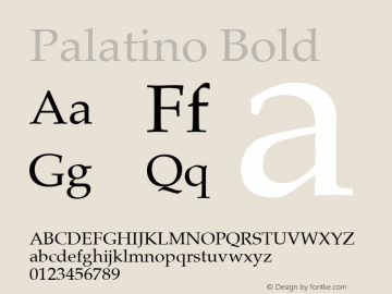 Palatino Bold 18.0d1e19图片样张