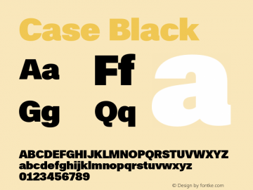 Case Black Version 2.00图片样张