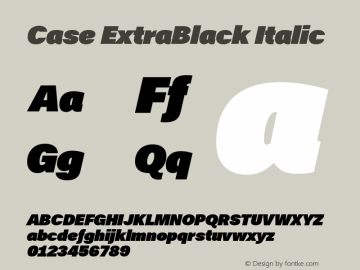 Case ExtraBlack Italic Version 2.00图片样张