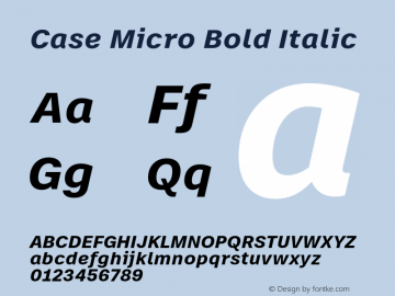 Case Micro Bold Italic Version 2.00图片样张