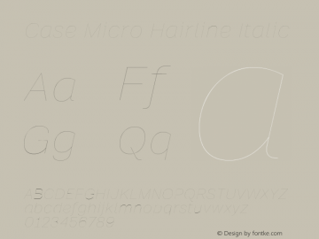 Case Micro Hairline Italic Version 2.00图片样张