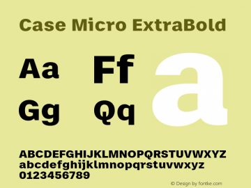 Case Micro ExtraBold Version 2.00图片样张