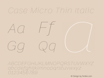 Case Micro Thin Italic Version 2.00图片样张