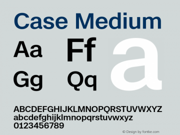 Case Medium Version 2.00图片样张