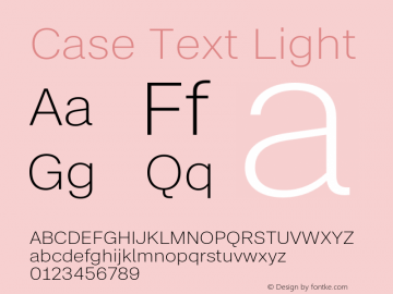 Case Text Light Version 2.00图片样张