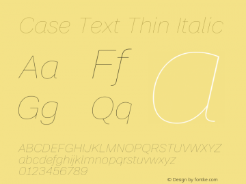 Case Text Thin Italic Version 2.00图片样张