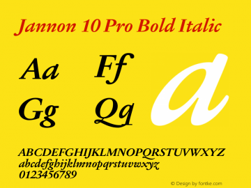Jannon 10 Pro Bold Italic Version 1.00图片样张