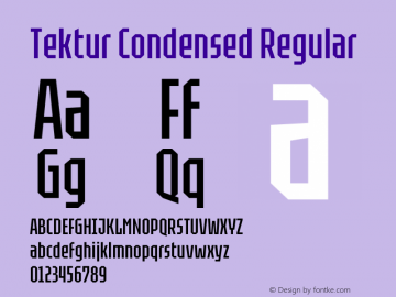 Tektur Condensed Regular Version 1.005;gftools[0.9.30]图片样张