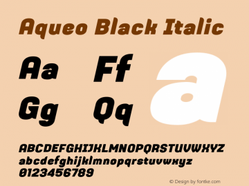Aqueo Black Italic Version 1.000;hotconv 1.0.109;makeotfexe 2.5.65596图片样张