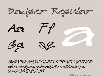 Badger Version 1.001;Fontself Maker 3.5.8图片样张