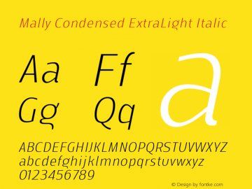 Mally Condensed ExtraLight Italic Version 1.000 | FøM Fix图片样张