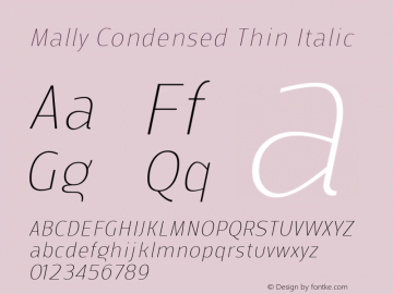 Mally Condensed Thin Italic Version 1.000 | FøM Fix图片样张