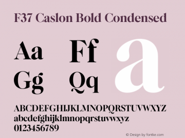 F37 Caslon Bold Condensed Version 2.000;FEAKit 1.0图片样张