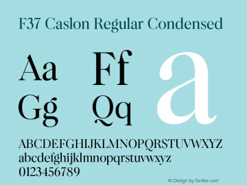 F37 Caslon Regular Condensed Version 2.000;FEAKit 1.0图片样张