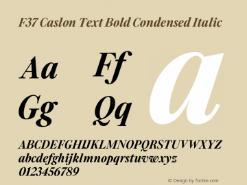 F37 Caslon Text Bold Condensed Italic Version 2.000;FEAKit 1.0图片样张