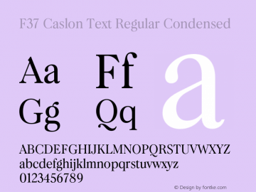 F37 Caslon Text Regular Condensed Version 2.000;FEAKit 1.0图片样张