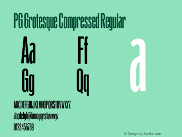 PG Grotesque Compressed Regular Version 1.000;Glyphs 3.2 (3207)图片样张