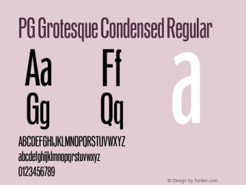 PG Grotesque Condensed Regular Version 1.000;Glyphs 3.2 (3207)图片样张