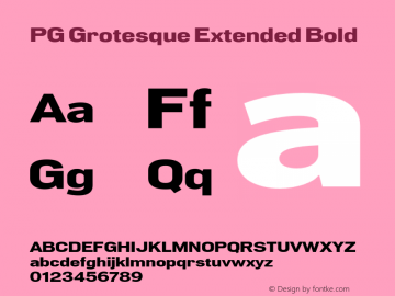 PG Grotesque Extended Bold Version 1.000;Glyphs 3.2 (3207)图片样张