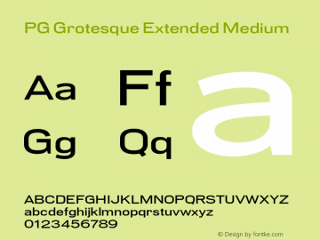 PG Grotesque Extended Medium Version 1.000;Glyphs 3.2 (3207)图片样张