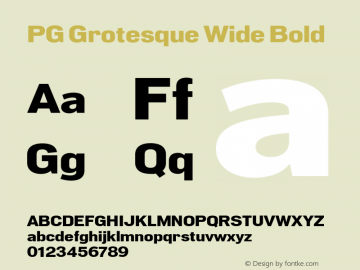 PG Grotesque Wide Bold Version 1.000;Glyphs 3.2 (3207)图片样张