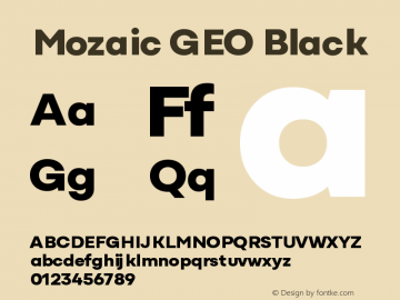 Mozaic GEO Black Version 1.000 (2023-04-28) | FøM Fix图片样张