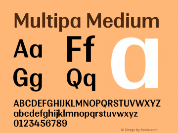 Multipa-Medium Version 1.000图片样张