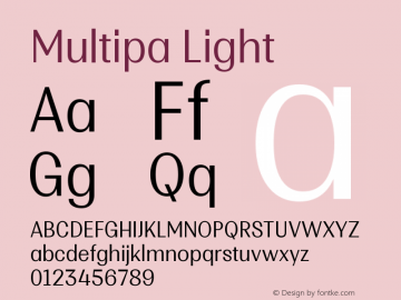 Multipa-Light Version 1.000图片样张