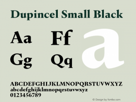 Dupincel Small Black Version 1.000图片样张